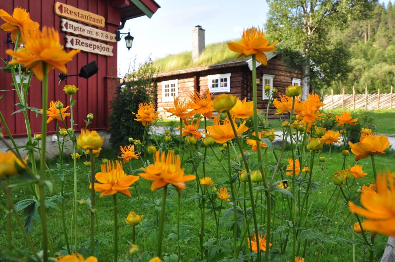 Rondane River Lodge - Rondane Gjestegard Enden Exteriér fotografie