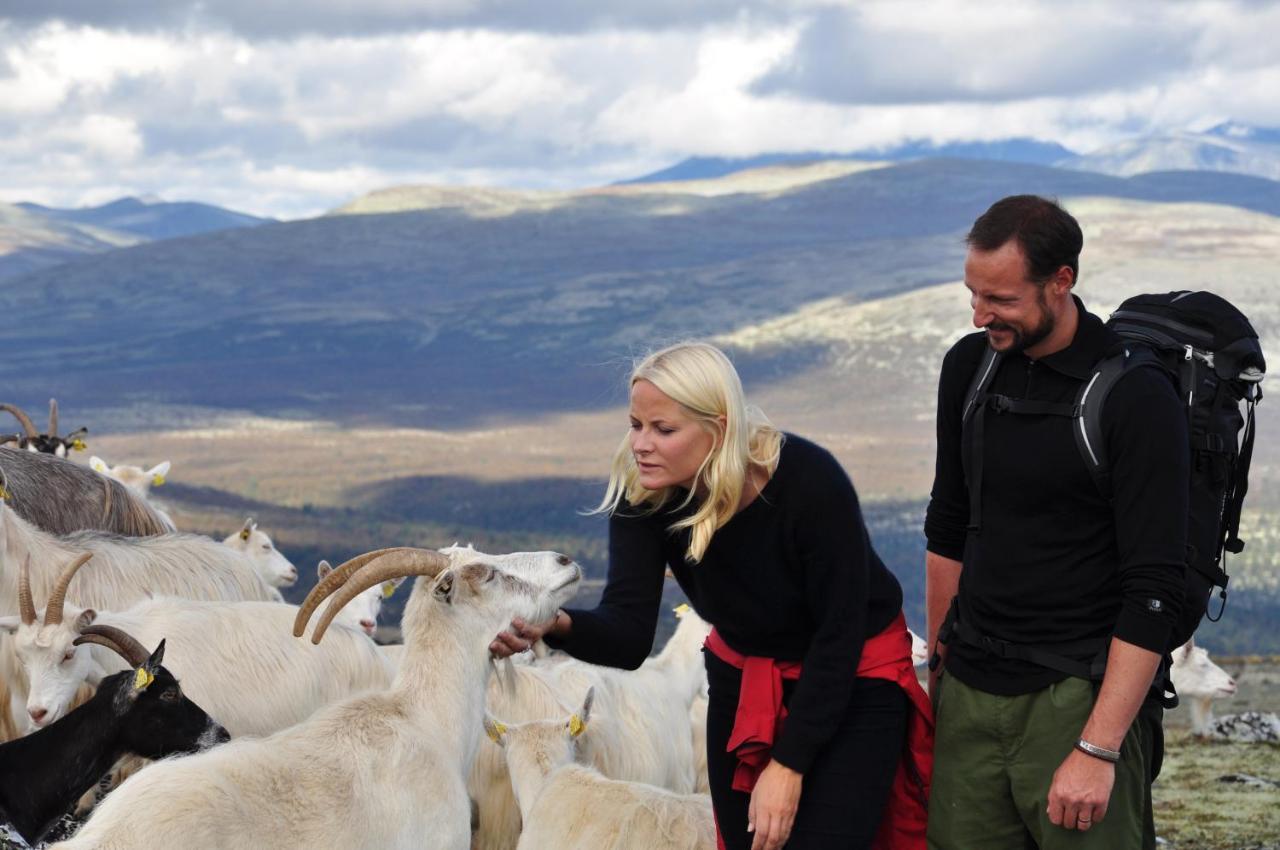 Rondane River Lodge - Rondane Gjestegard Enden Exteriér fotografie
